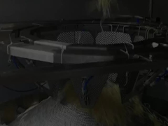 Automatische verticale hogesnelheidsnoedelschalen- en verpakkingsmachine